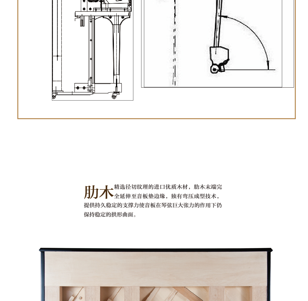 展示11.jpg